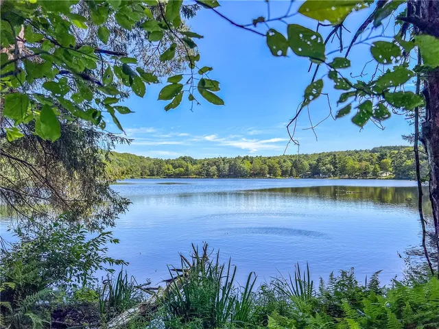 $360,000 | 0 Masonville Pond Cummings Road, Sidney Center, NY 13839