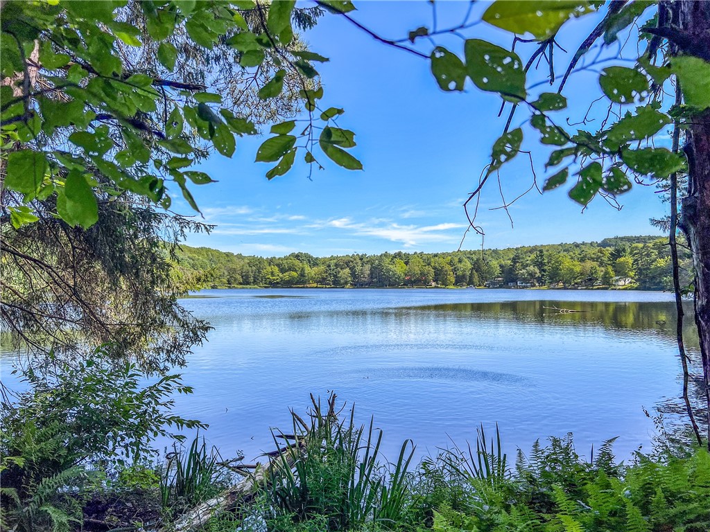 0 Masonville Pond Cummings Road Sidney Center, NY 13839 - Photo 7 of 34