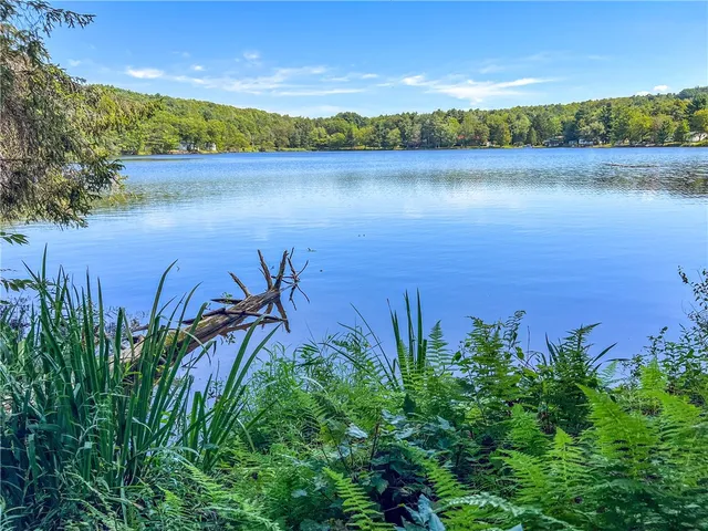 $360,000 | 0 Masonville Pond Cummings Road, Sidney Center, NY 13839