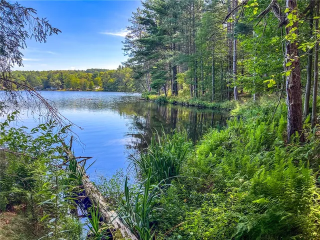 $360,000 | 0 Masonville Pond Cummings Road, Sidney Center, NY 13839