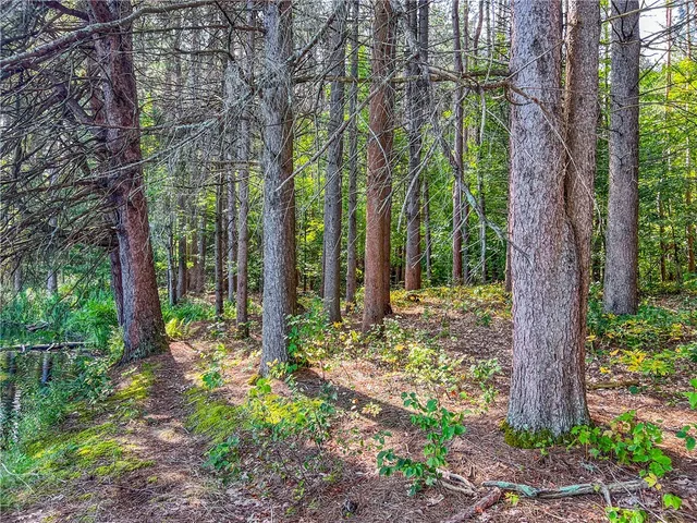 $360,000 | 0 Masonville Pond Cummings Road, Sidney Center, NY 13839