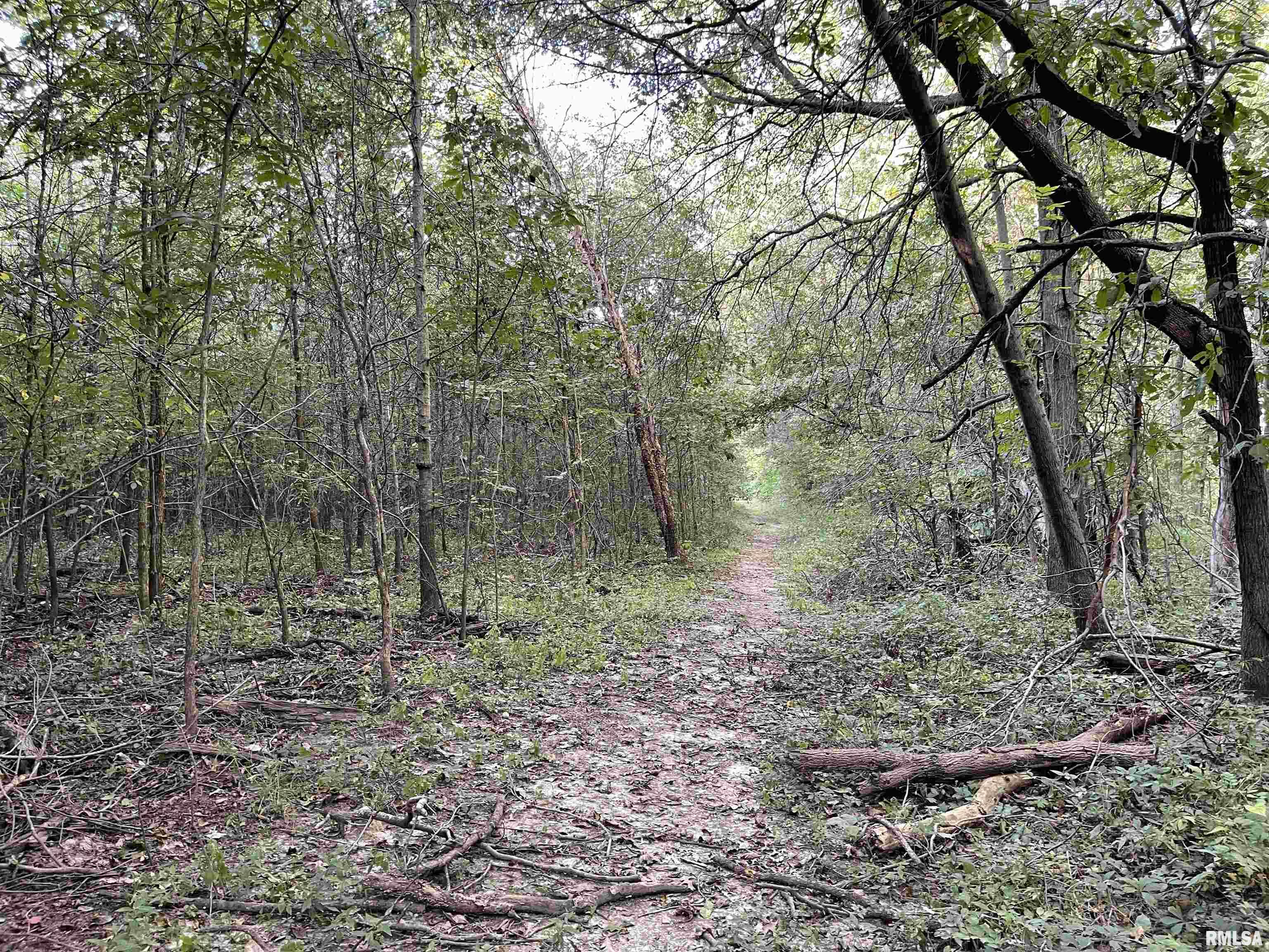 8625 Parks Road Iuka, IL 62849 - Photo 48 of 86