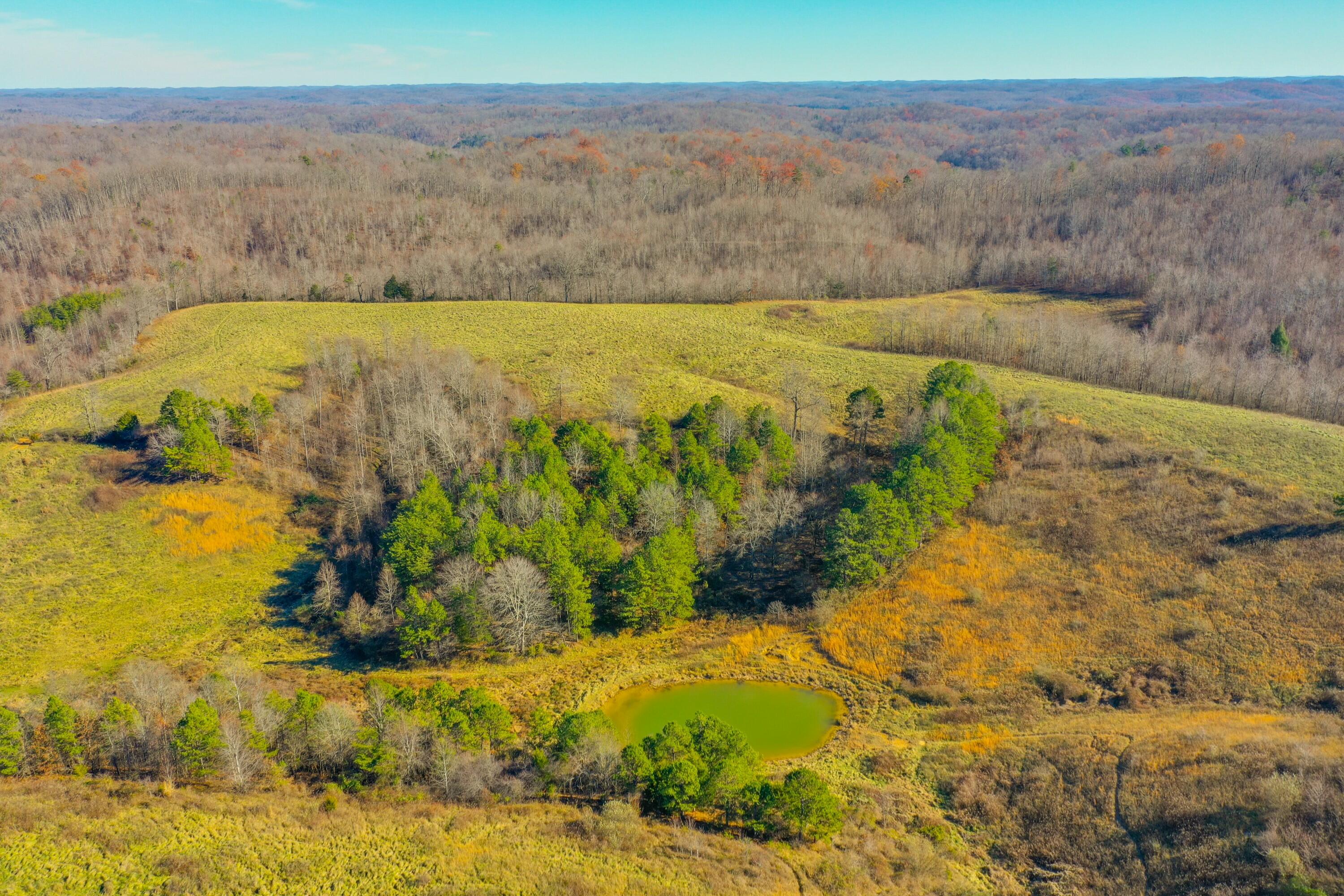 2202 Terrell Creek Road Manchester, KY 40962 - Photo 9 of 50 tempImageBNIzs4