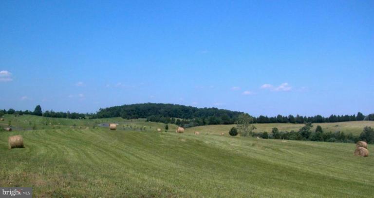 15 Riley Mill Lane Middletown, VA 22645 - Photo 2 of 4 Kendall Mills has beautiful pastoral views