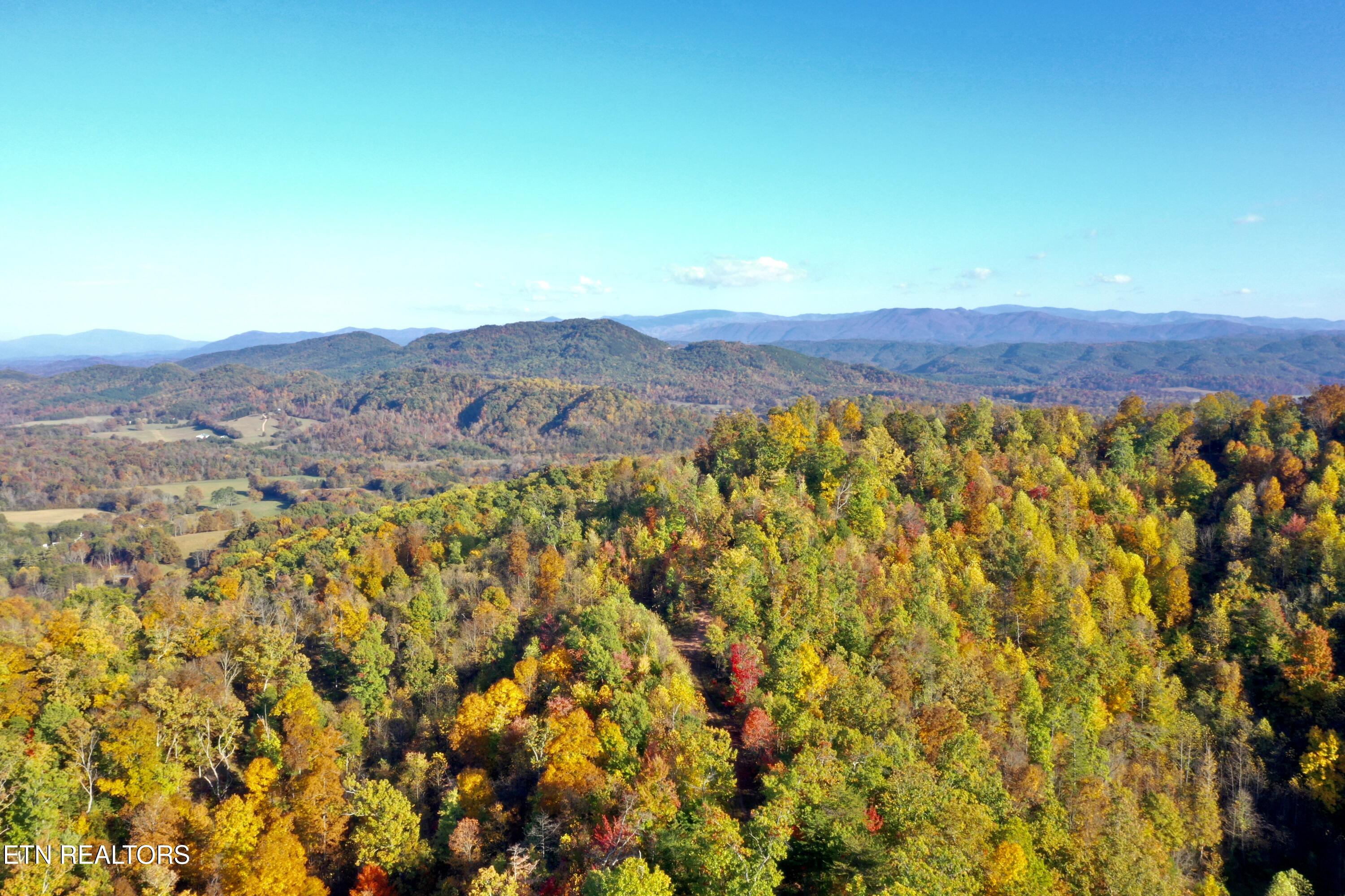 Creek Road Tellico Plains, TN 37385 - Photo 11 of 49 DJI_0945