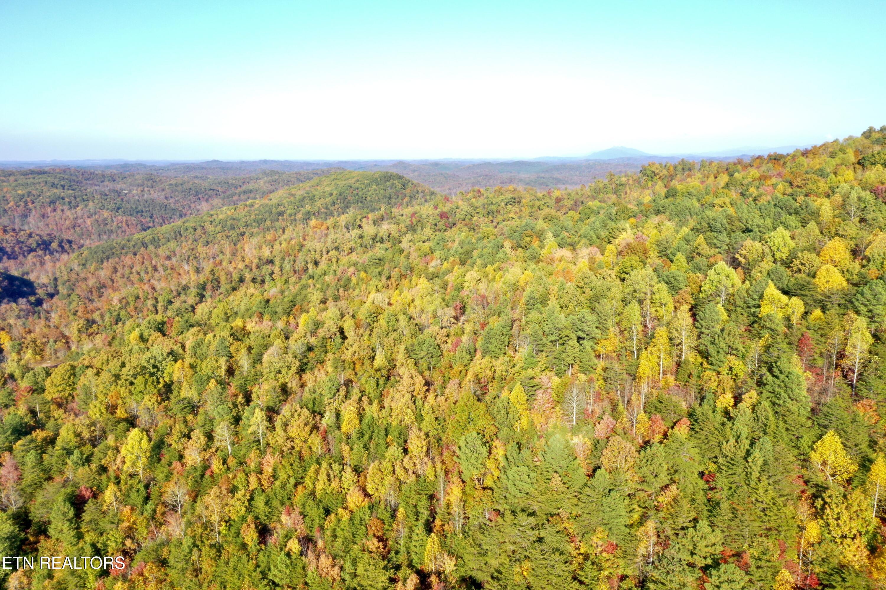 Creek Road Tellico Plains, TN 37385 - Photo 40 of 49 DJI_0939