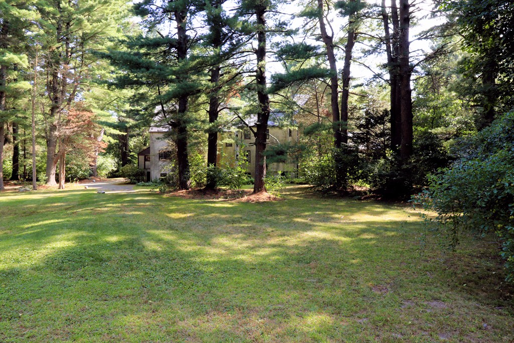 766 Chestnut Street Needham, MA 02492 - Photo 4 of 7