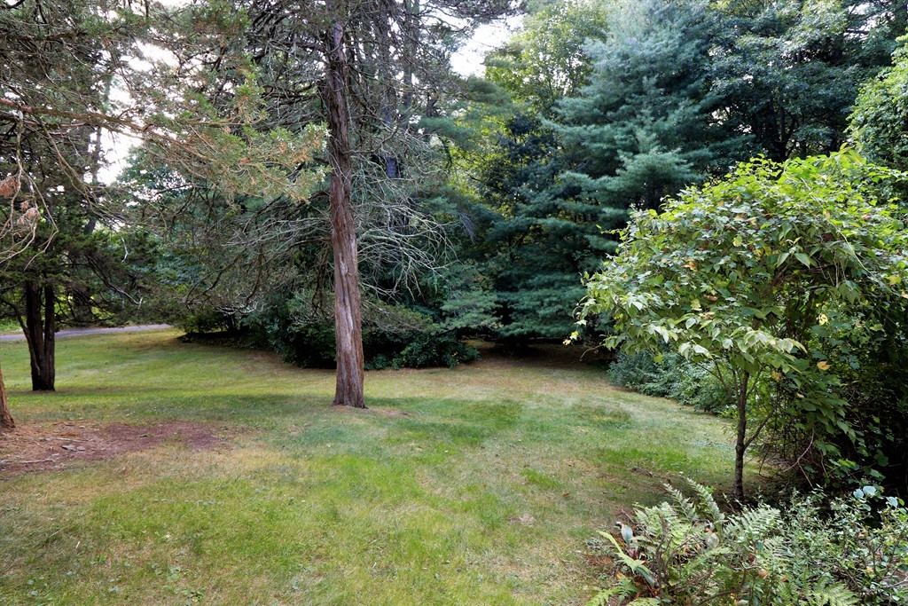 766 Chestnut Street Needham, MA 02492 - Photo 6 of 7