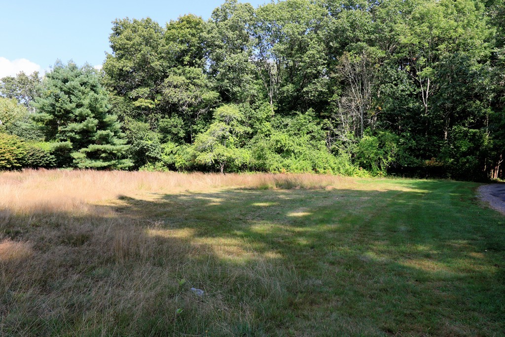 766 Chestnut Street Needham, MA 02492 - Photo 7 of 7