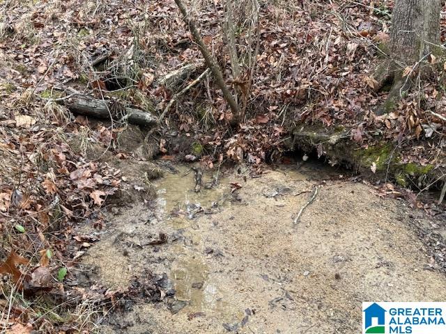 2611 Oaks Chapel Road Goodwater, AL 35072 - Photo 5 of 10
