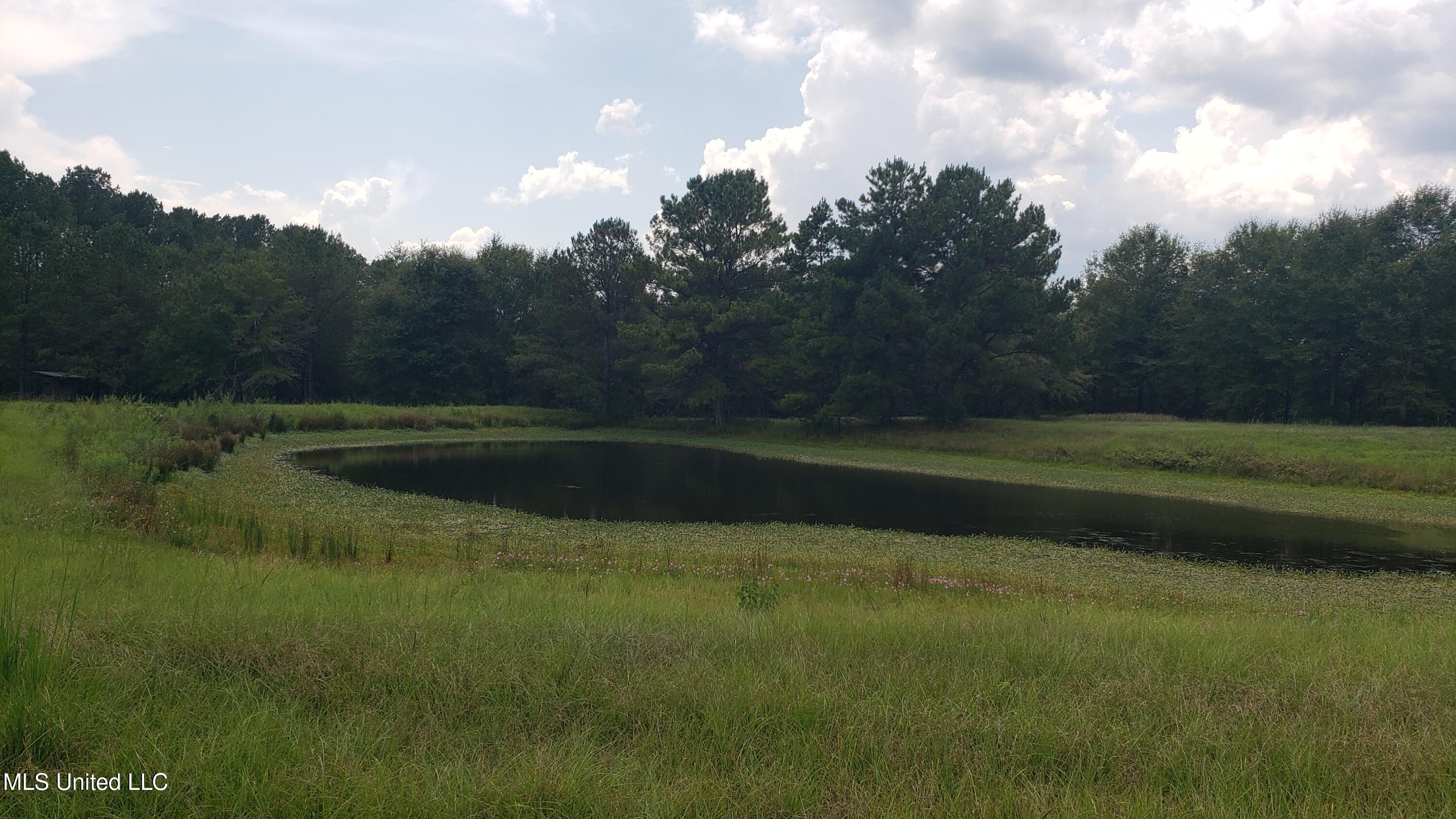 273 Vincetown Road Tylertown, MS 39667 - Photo 14 of 86 20250818_142835