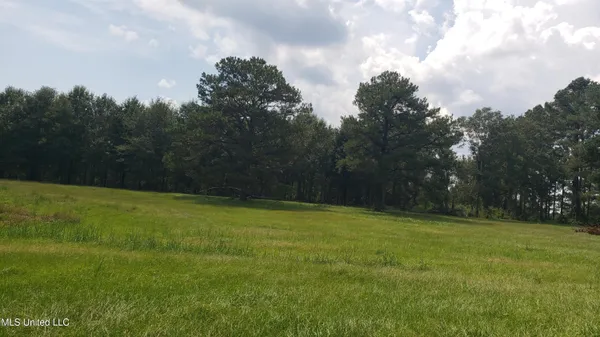 $275,000 | 273 Vincetown Road, Tylertown, MS 39667
