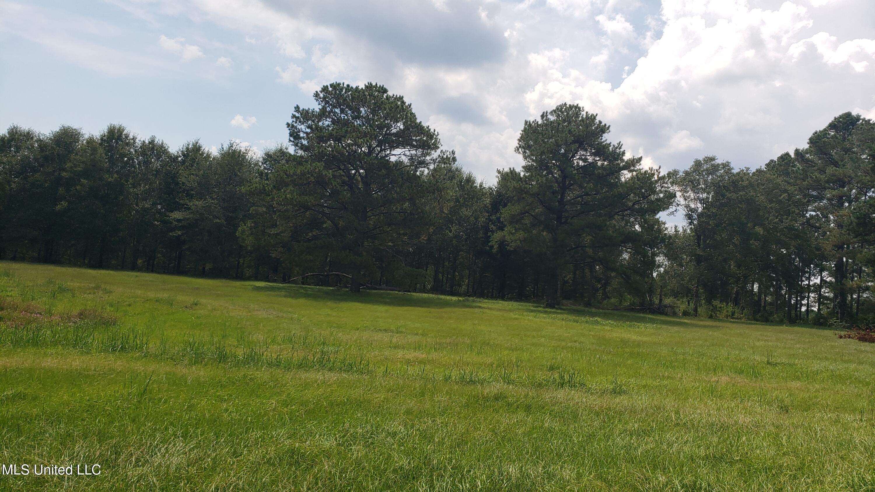 273 Vincetown Road Tylertown, MS 39667 - Photo 17 of 86 2025-08-18 14.29.47