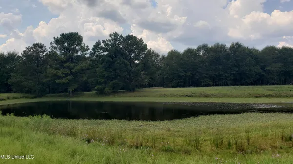 $275,000 | 273 Vincetown Road, Tylertown, MS 39667