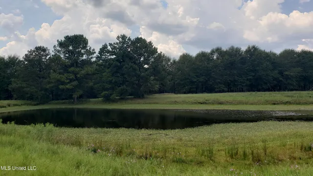 $275,000 | 273 Vincetown Road, Tylertown, MS 39667