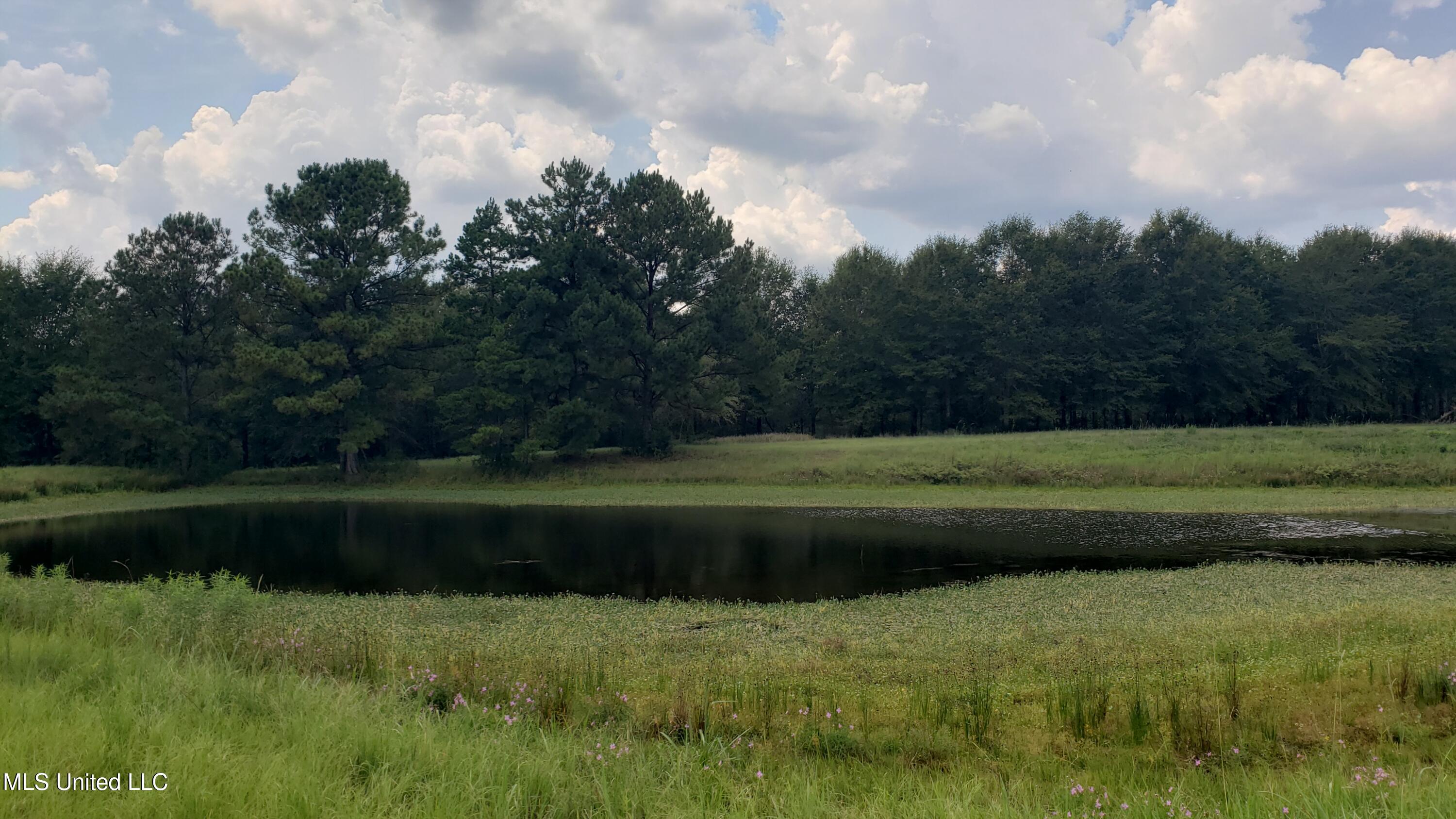 273 Vincetown Road Tylertown, MS 39667 - Photo 20 of 86 20250818_142620