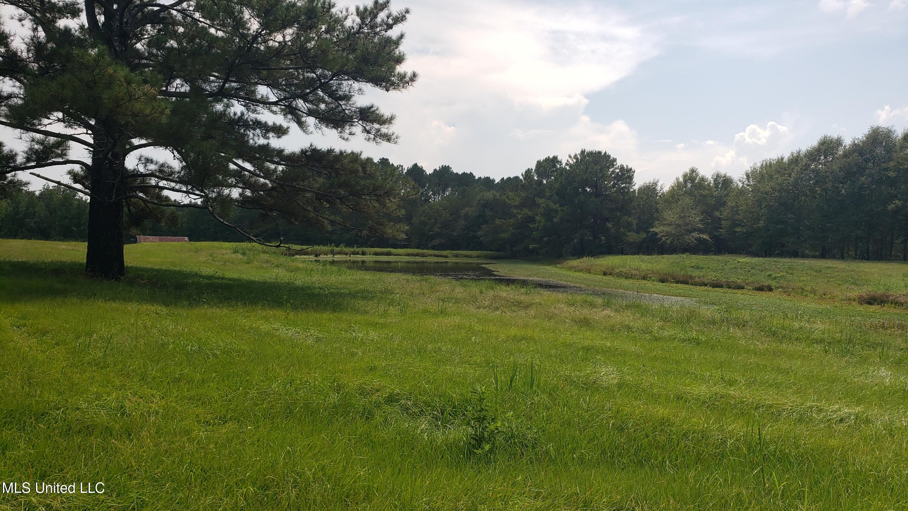 273 Vincetown Road Tylertown, MS 39667 - Photo 21 of 86 20250818_142938