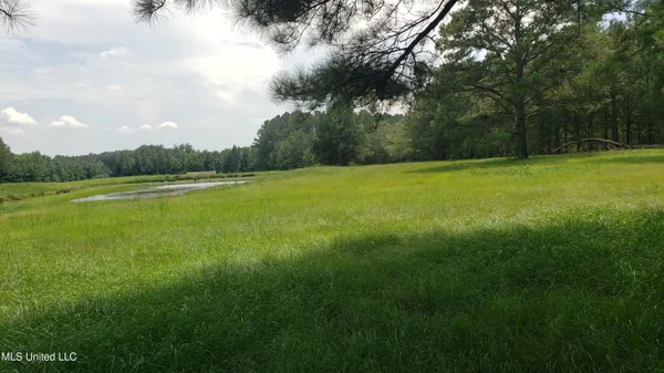 $275,000 | 273 Vincetown Road, Tylertown, MS 39667
