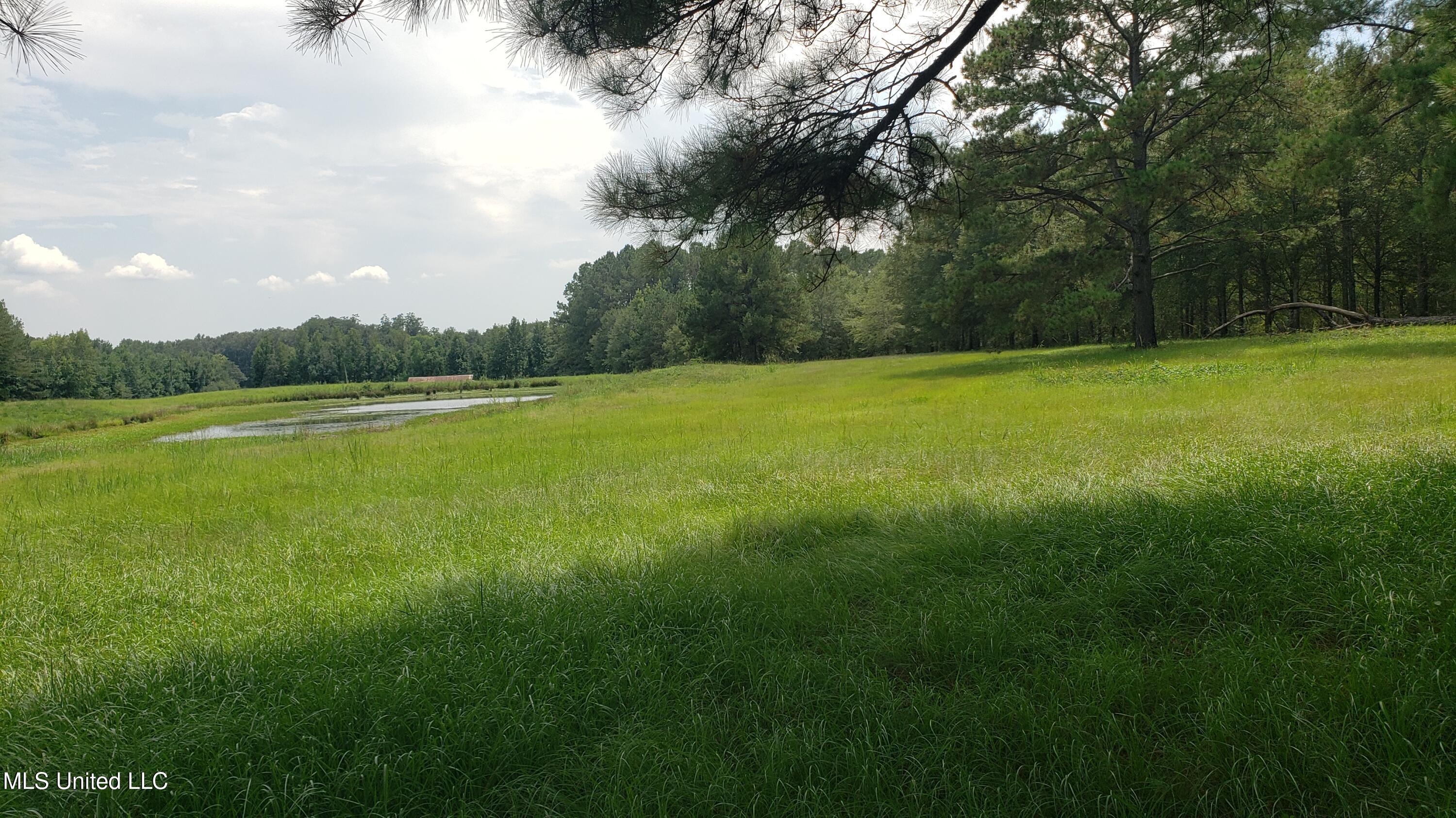 273 Vincetown Road Tylertown, MS 39667 - Photo 22 of 86 2025-08-18 14.16.44