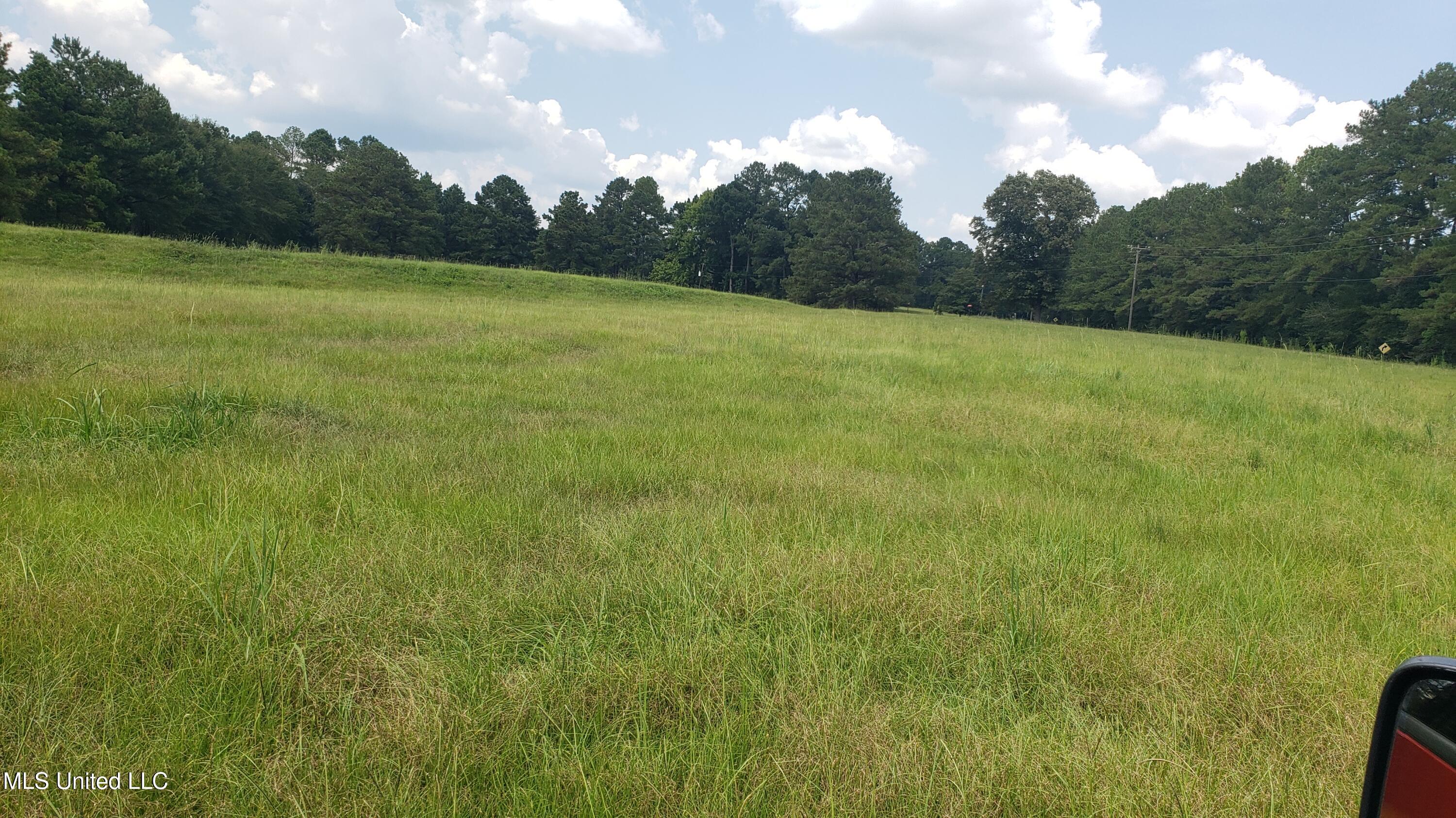 273 Vincetown Road Tylertown, MS 39667 - Photo 23 of 86 20250818_142418