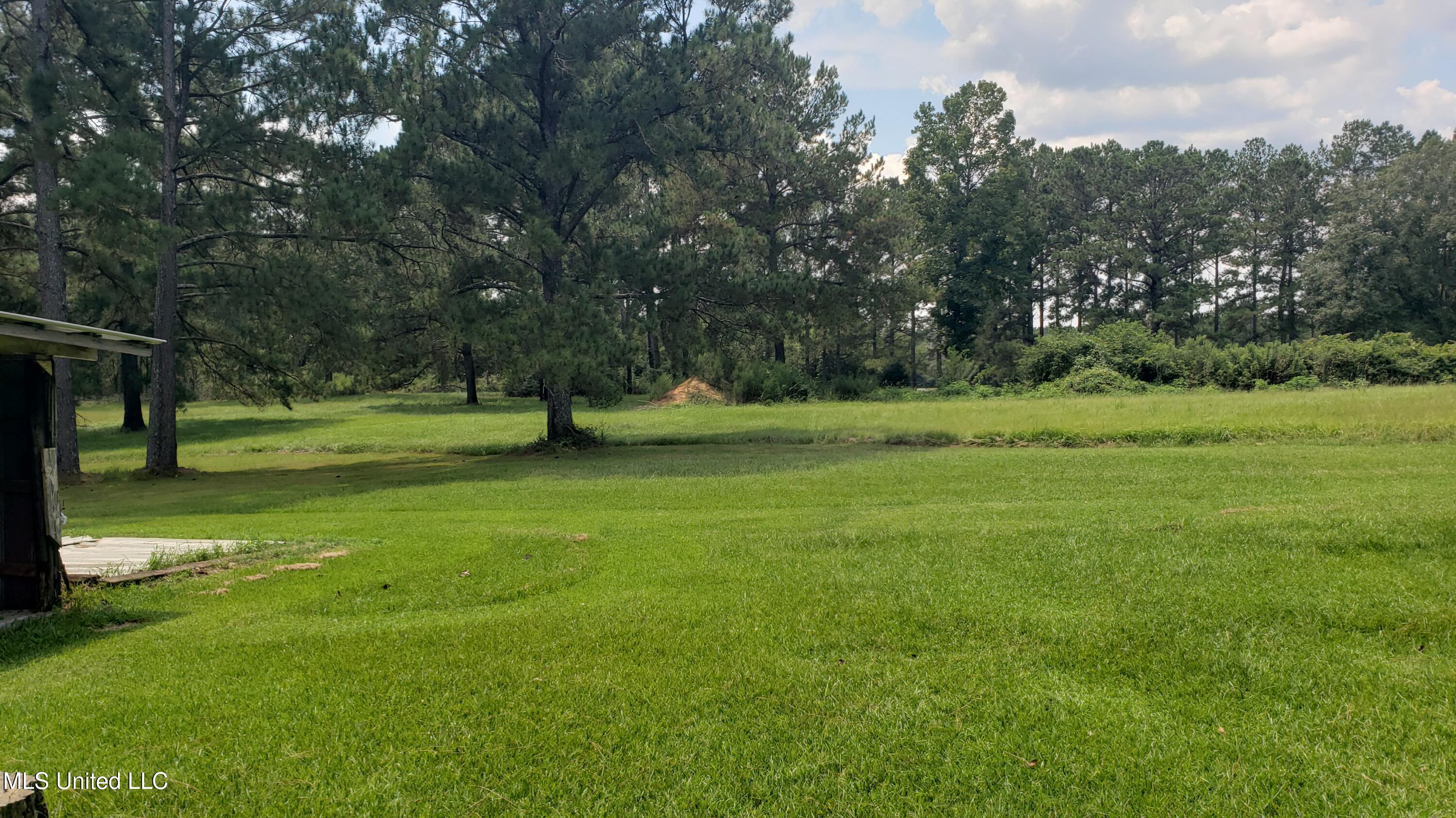 273 Vincetown Road Tylertown, MS 39667 - Photo 28 of 86 2025-08-18 14.14.33