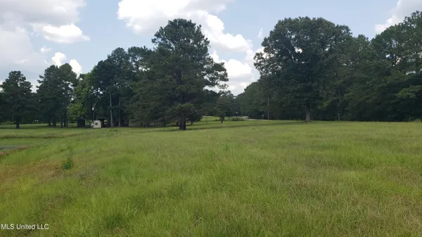 $275,000 | 273 Vincetown Road, Tylertown, MS 39667