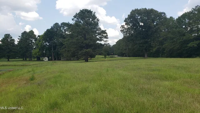 $275,000 | 273 Vincetown Road, Tylertown, MS 39667