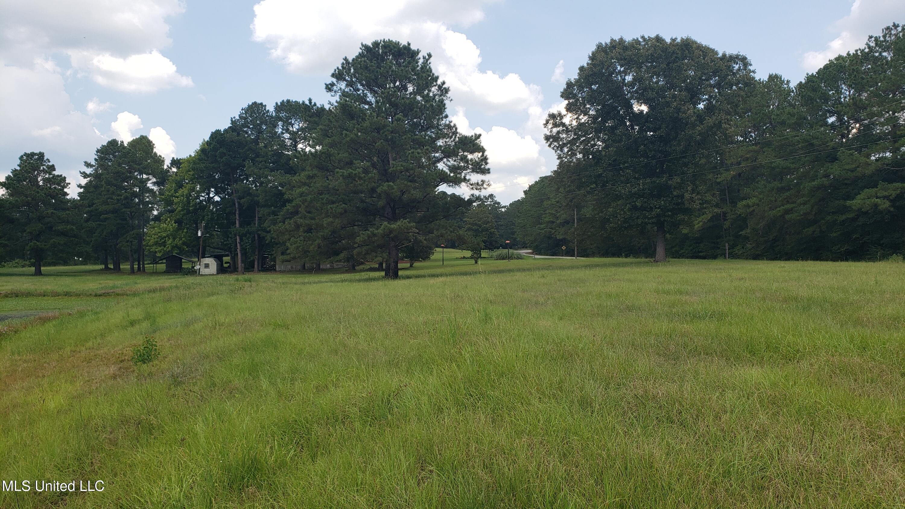 273 Vincetown Road Tylertown, MS 39667 - Photo 33 of 86 20250818_142614