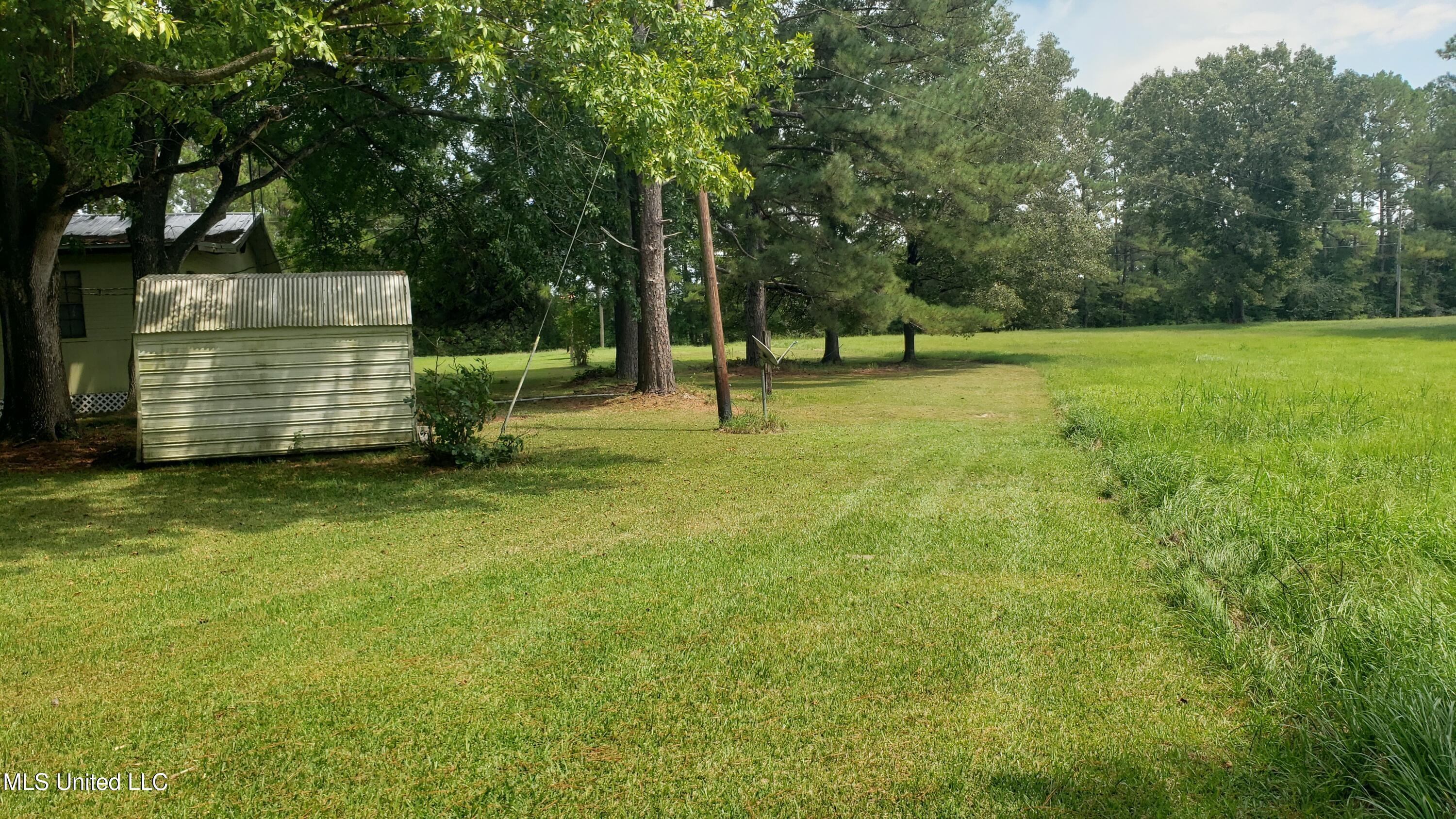 273 Vincetown Road Tylertown, MS 39667 - Photo 34 of 86 2025-08-18 14.16.48