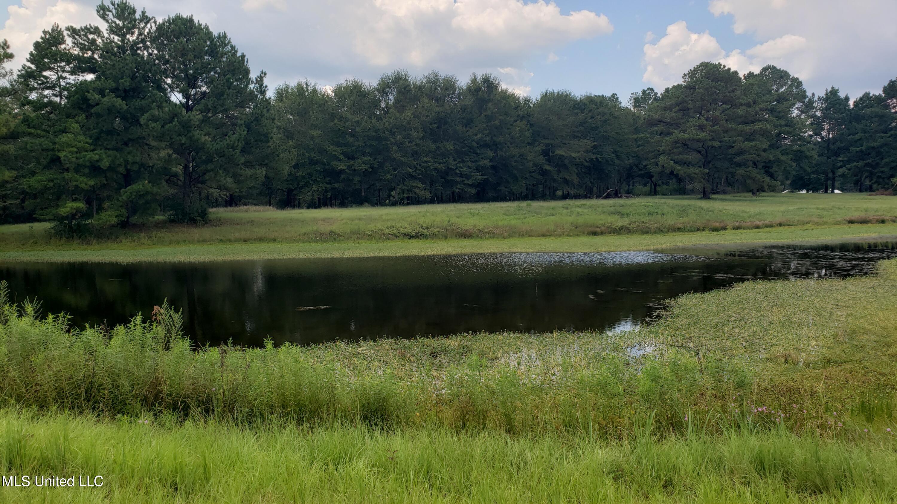 273 Vincetown Road Tylertown, MS 39667 - Photo 4 of 86 Pond