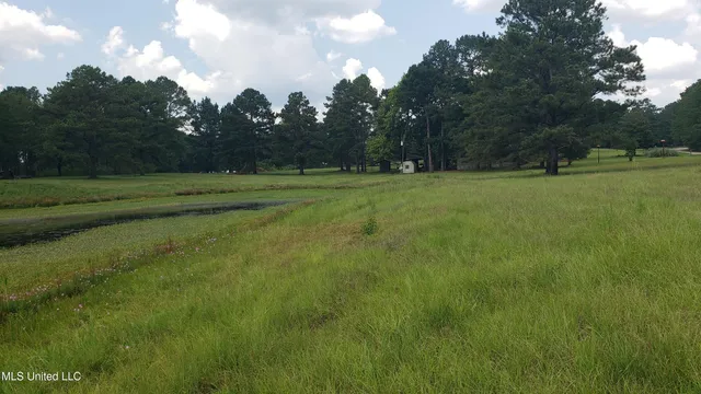 $275,000 | 273 Vincetown Road, Tylertown, MS 39667