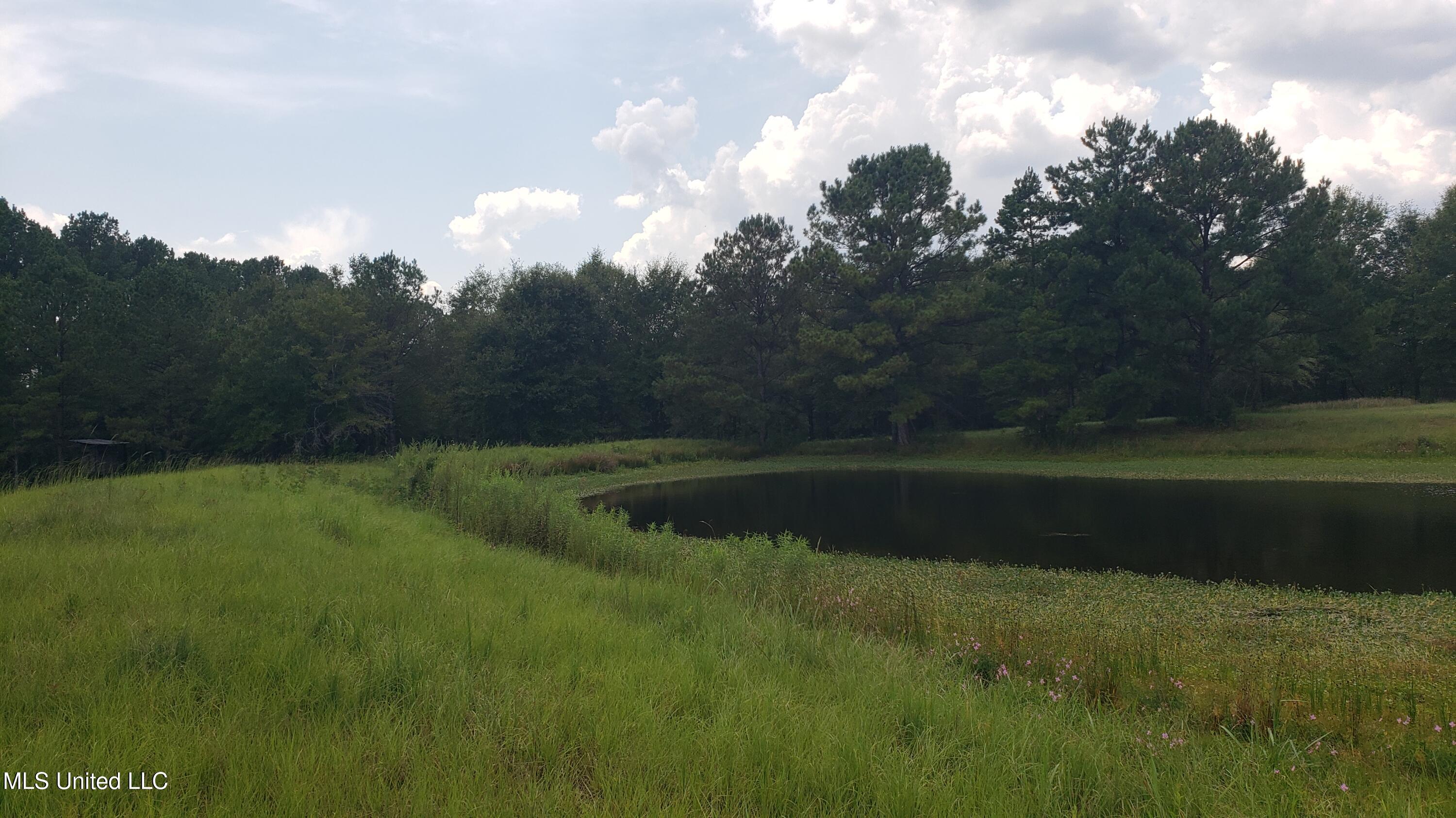 273 Vincetown Road Tylertown, MS 39667 - Photo 48 of 86 20250818_142623