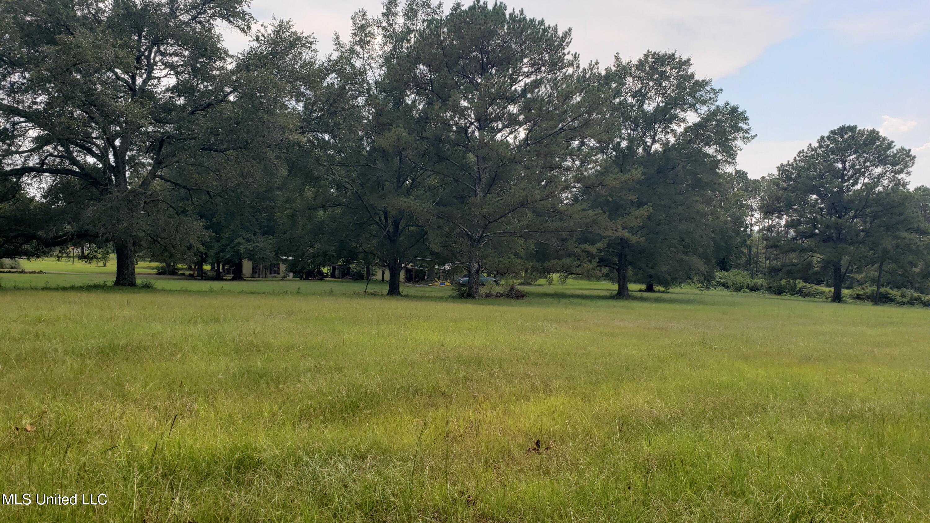 273 Vincetown Road Tylertown, MS 39667 - Photo 56 of 86 2025-08-18 14.32.59