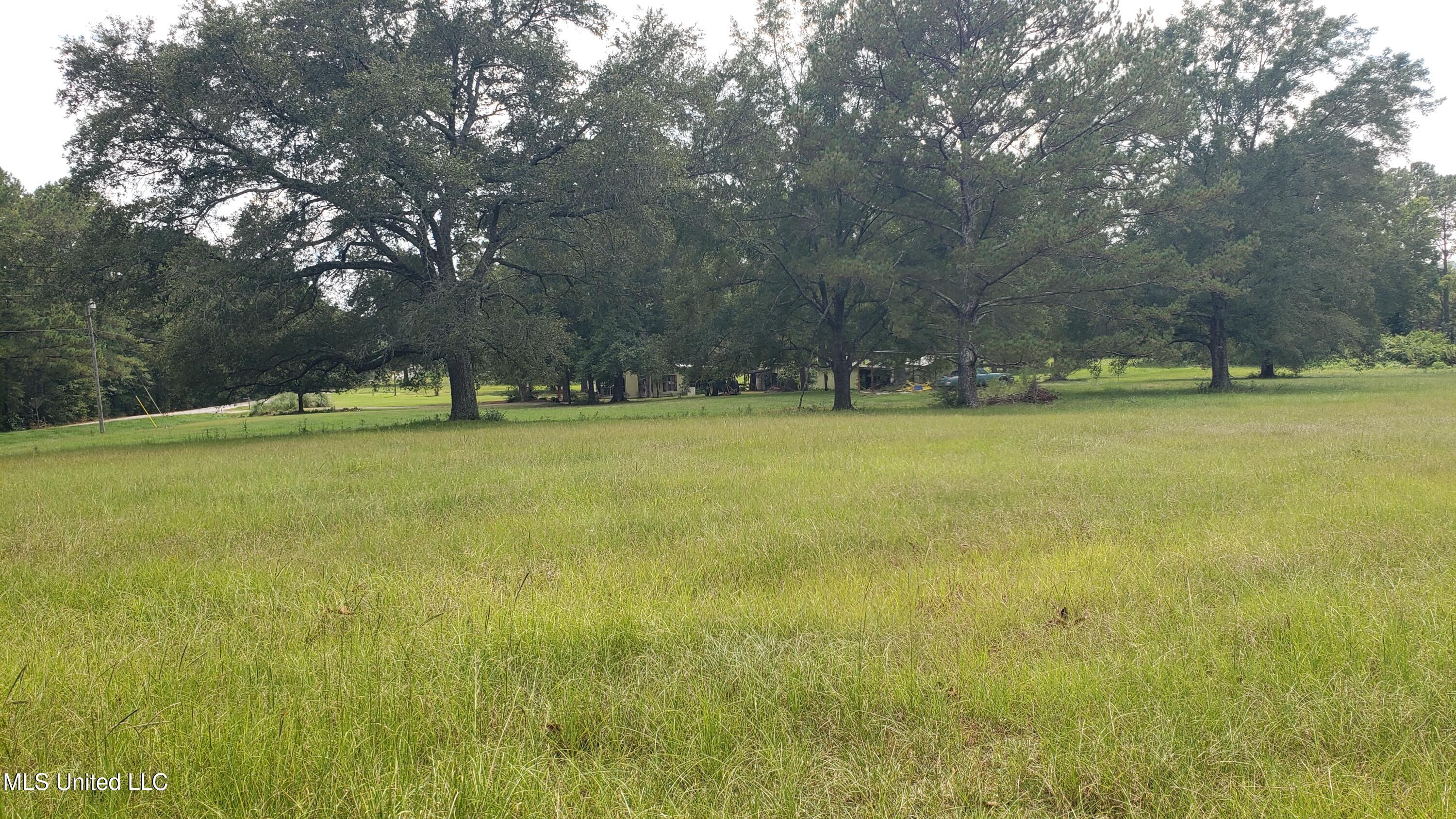 273 Vincetown Road Tylertown, MS 39667 - Photo 59 of 86 20250818_143256