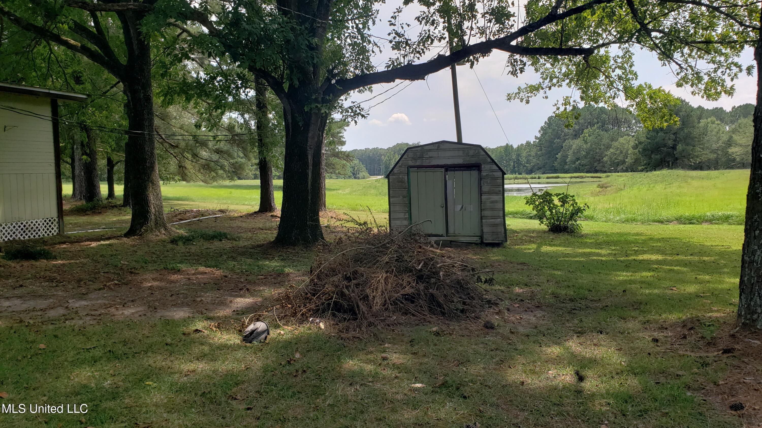 273 Vincetown Road Tylertown, MS 39667 - Photo 61 of 86 2025-08-18 14.17.31