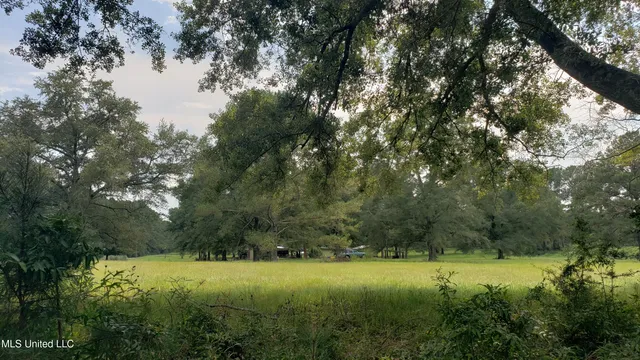 $275,000 | 273 Vincetown Road, Tylertown, MS 39667