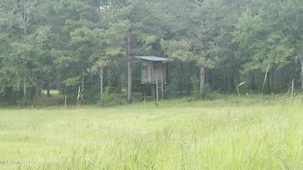 $275,000 | 273 Vincetown Road, Tylertown, MS 39667