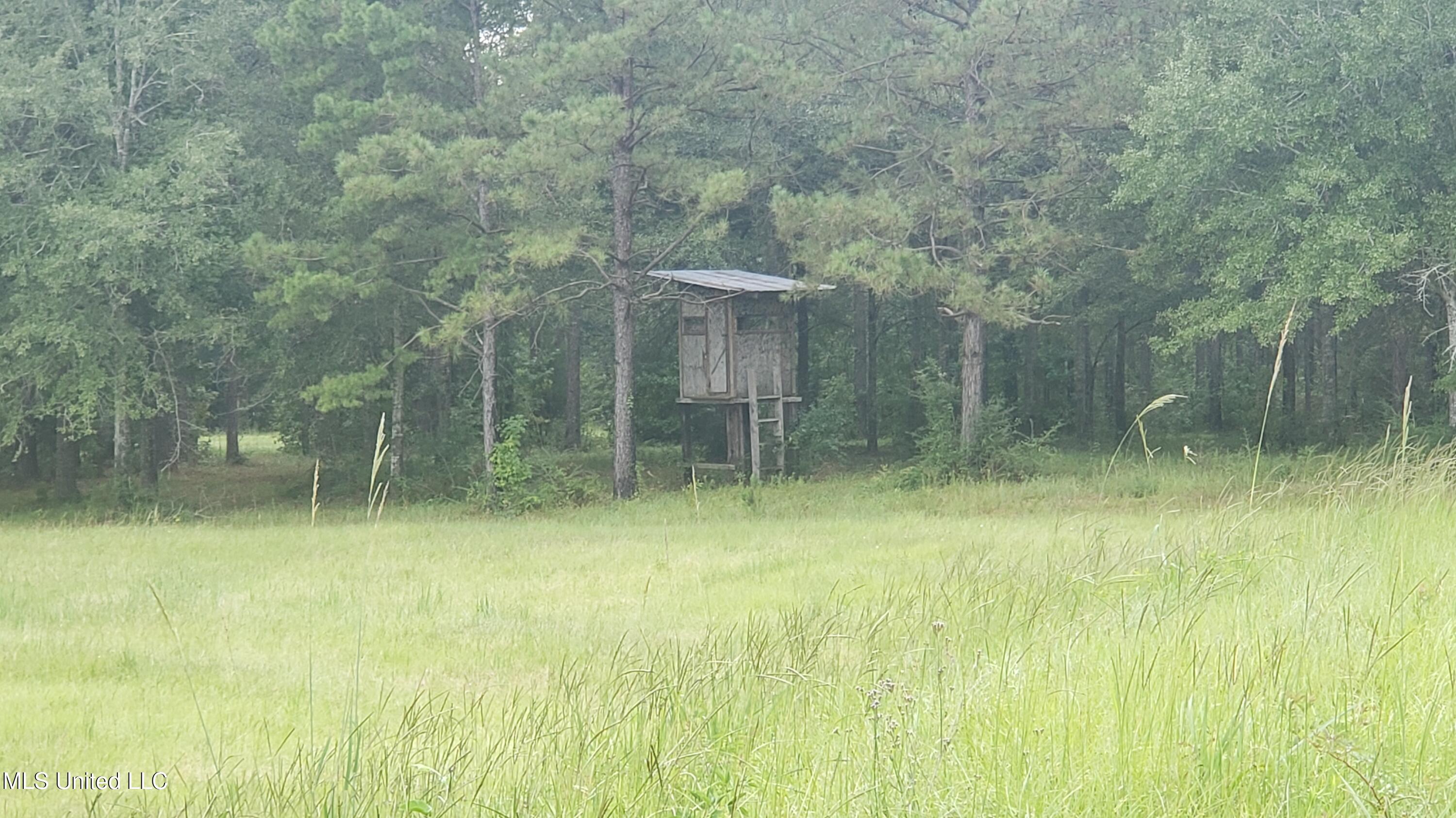 273 Vincetown Road Tylertown, MS 39667 - Photo 65 of 86 2025-08-18 14.26.55