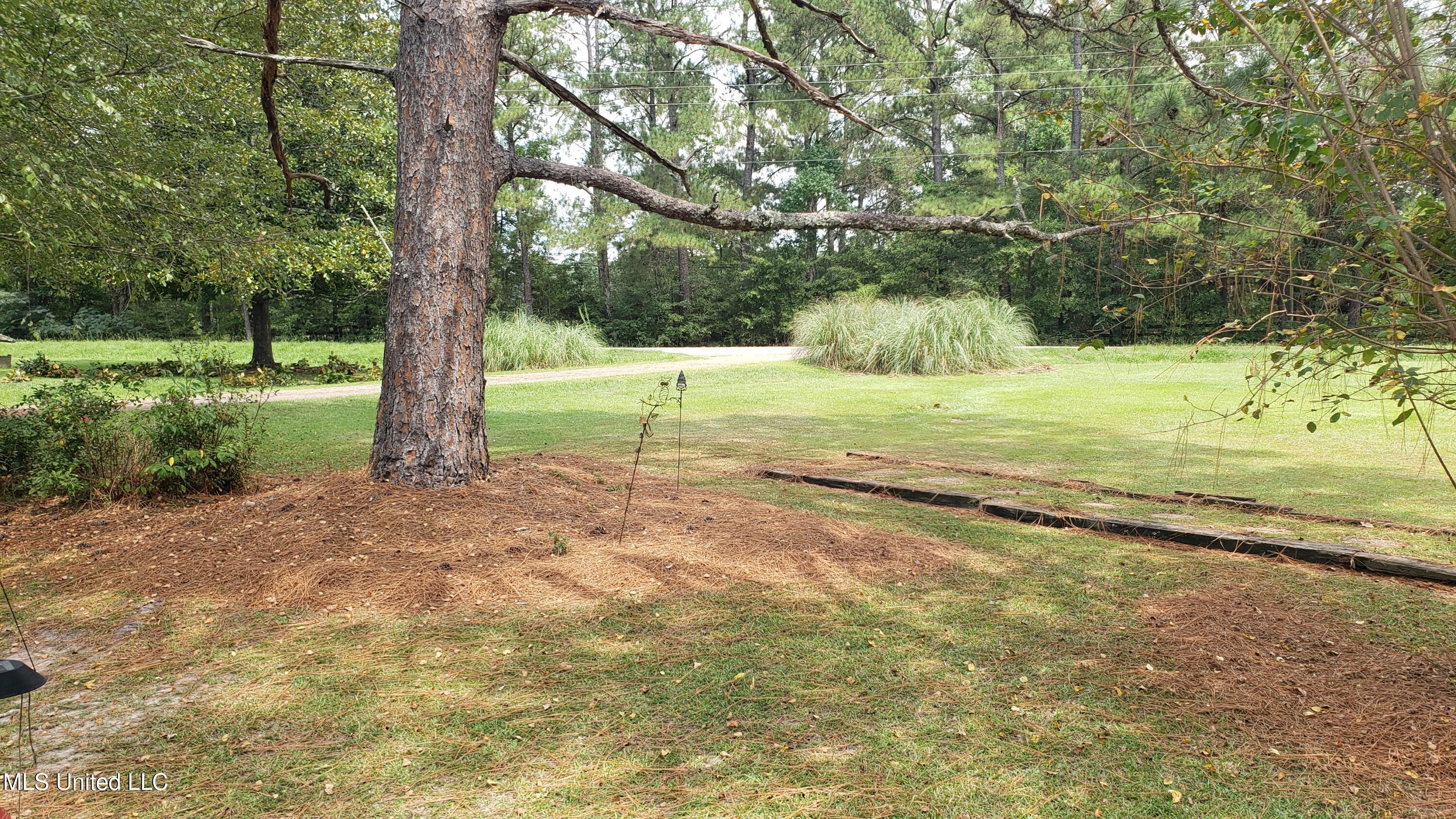 273 Vincetown Road Tylertown, MS 39667 - Photo 68 of 86 2025-08-18 14.11.39