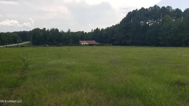 $275,000 | 273 Vincetown Road, Tylertown, MS 39667