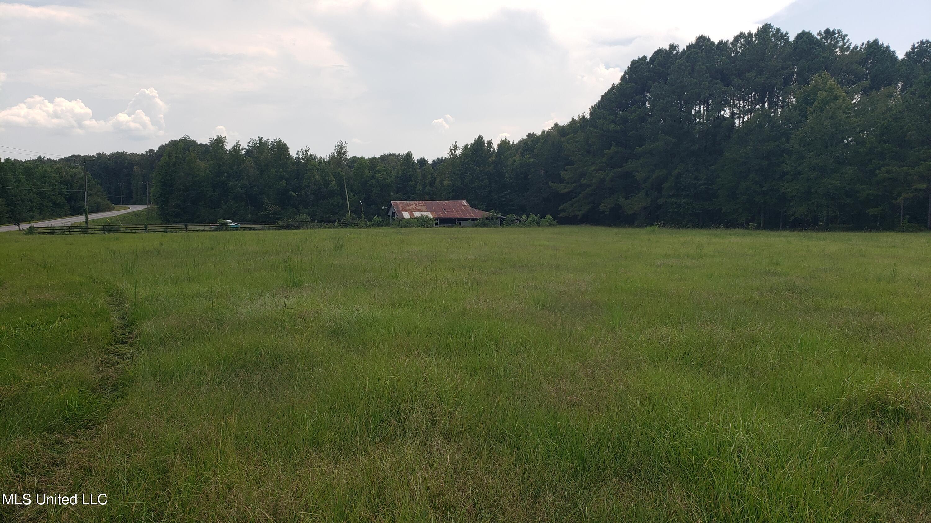 273 Vincetown Road Tylertown, MS 39667 - Photo 7 of 86 20250818_142556