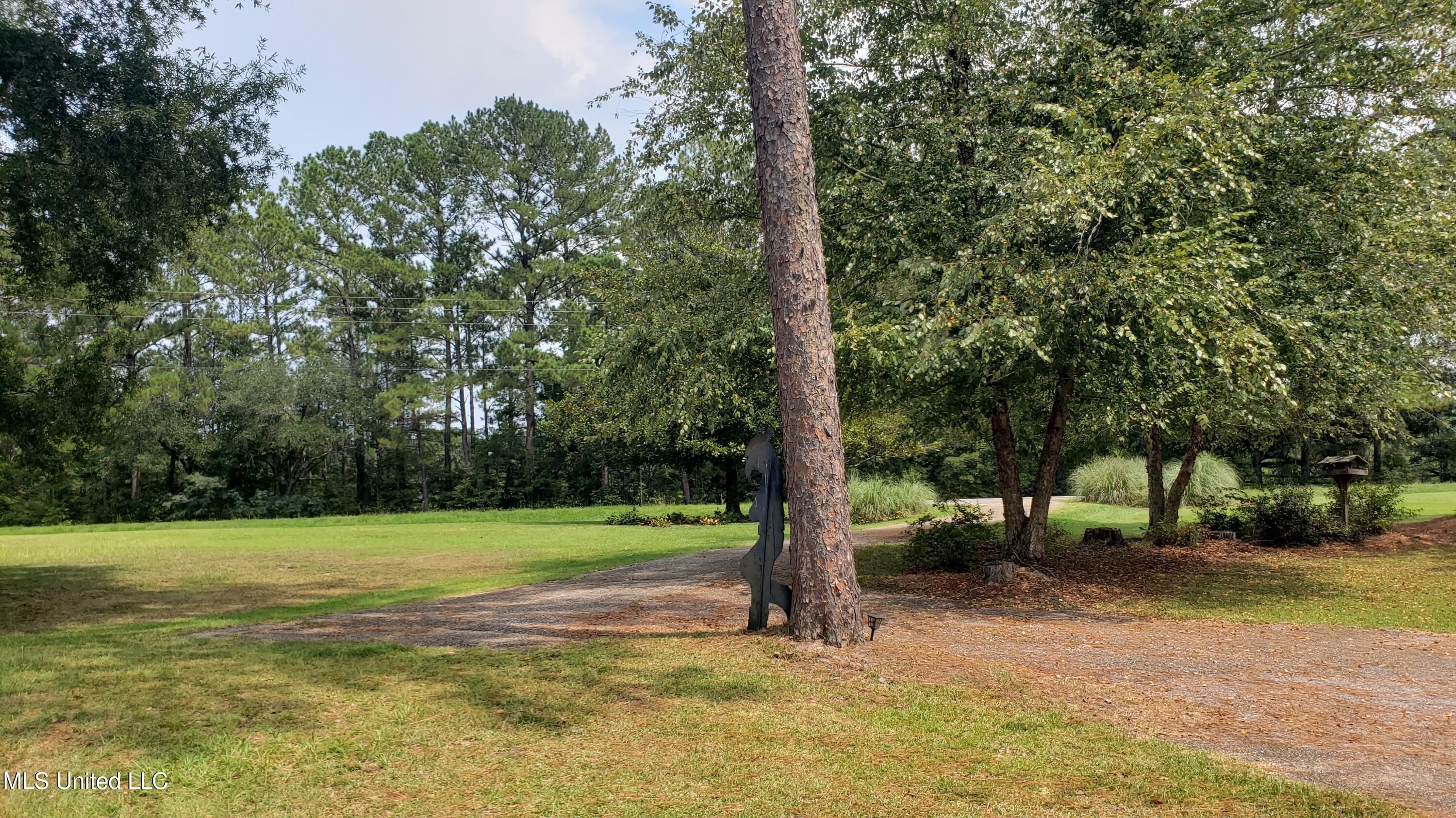 273 Vincetown Road Tylertown, MS 39667 - Photo 72 of 86 2025-08-18 14.30.54