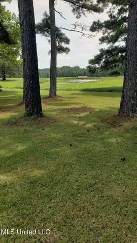 $275,000 | 273 Vincetown Road, Tylertown, MS 39667