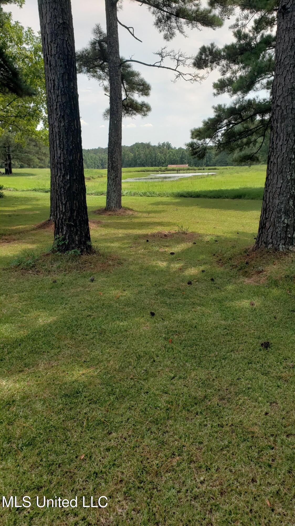 273 Vincetown Road Tylertown, MS 39667 - Photo 78 of 86 20250818_141547