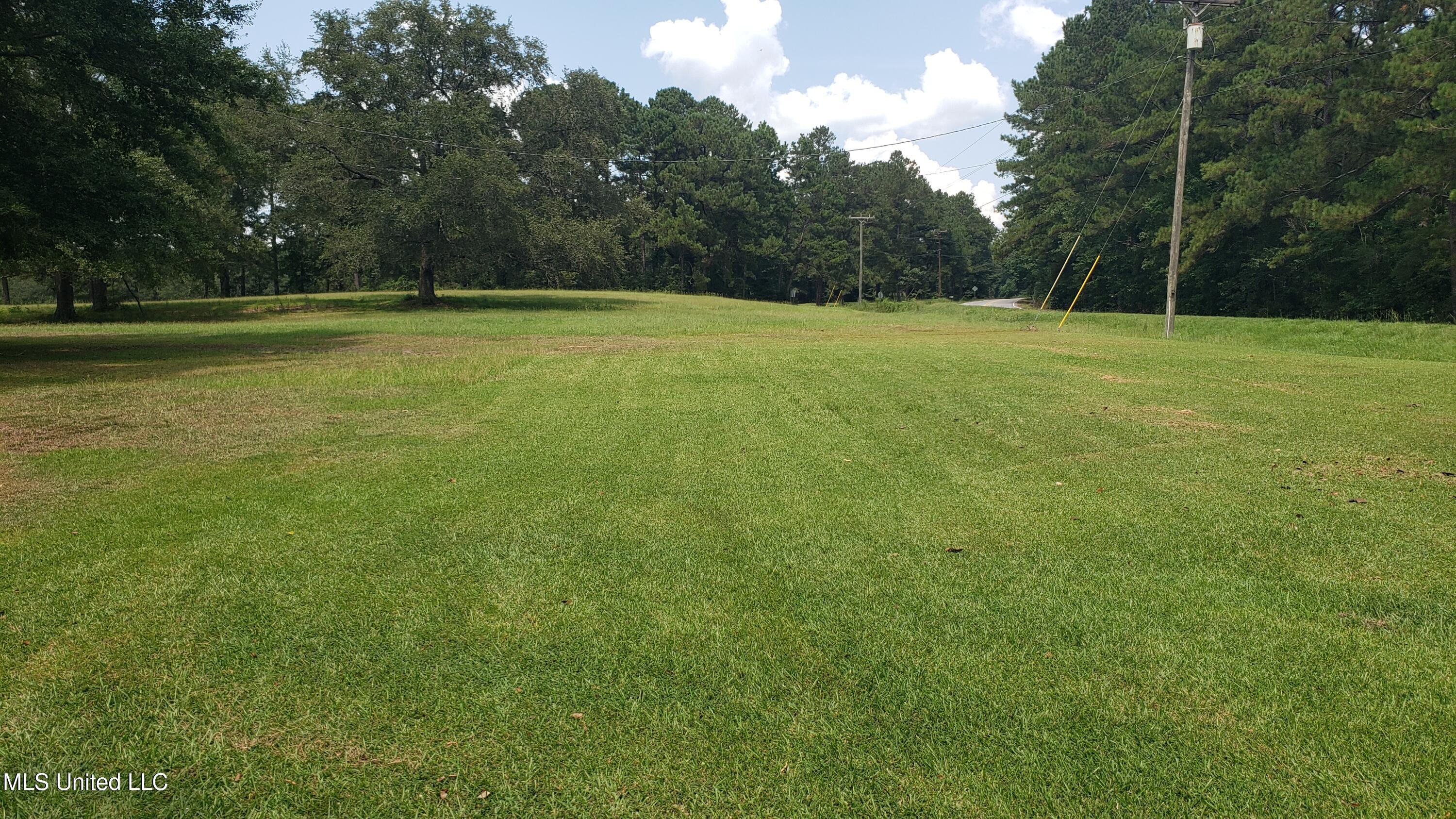 273 Vincetown Road Tylertown, MS 39667 - Photo 10 of 86 2025-08-18 14.08.59