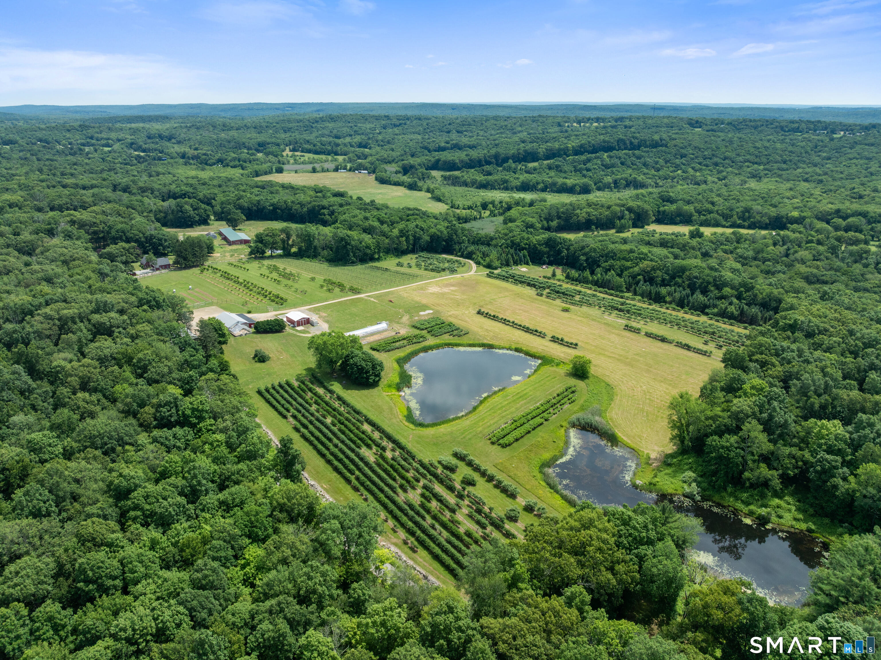 317 Bebbington Road Ashford, CT 06278 - Photo 2 of 40