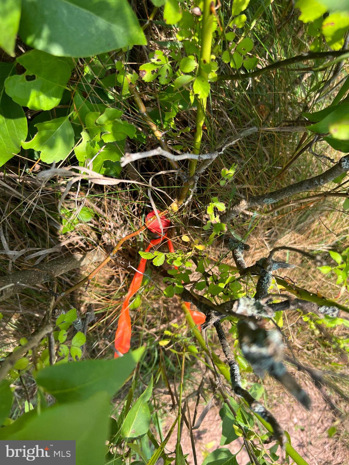 Lot 8 East Graceville Road Breezewood, PA 15533 - Photo 12 of 12