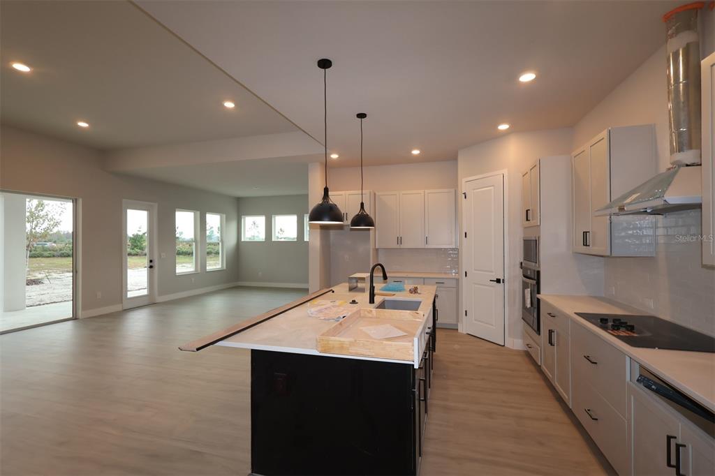 31583 Hayman Loop Wesley Chapel, FL 33545 - Photo 4 of 14 a kitchen with stainless steel appliances kitchen island a large island in the center