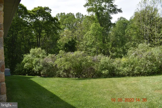 a view of a lush green space