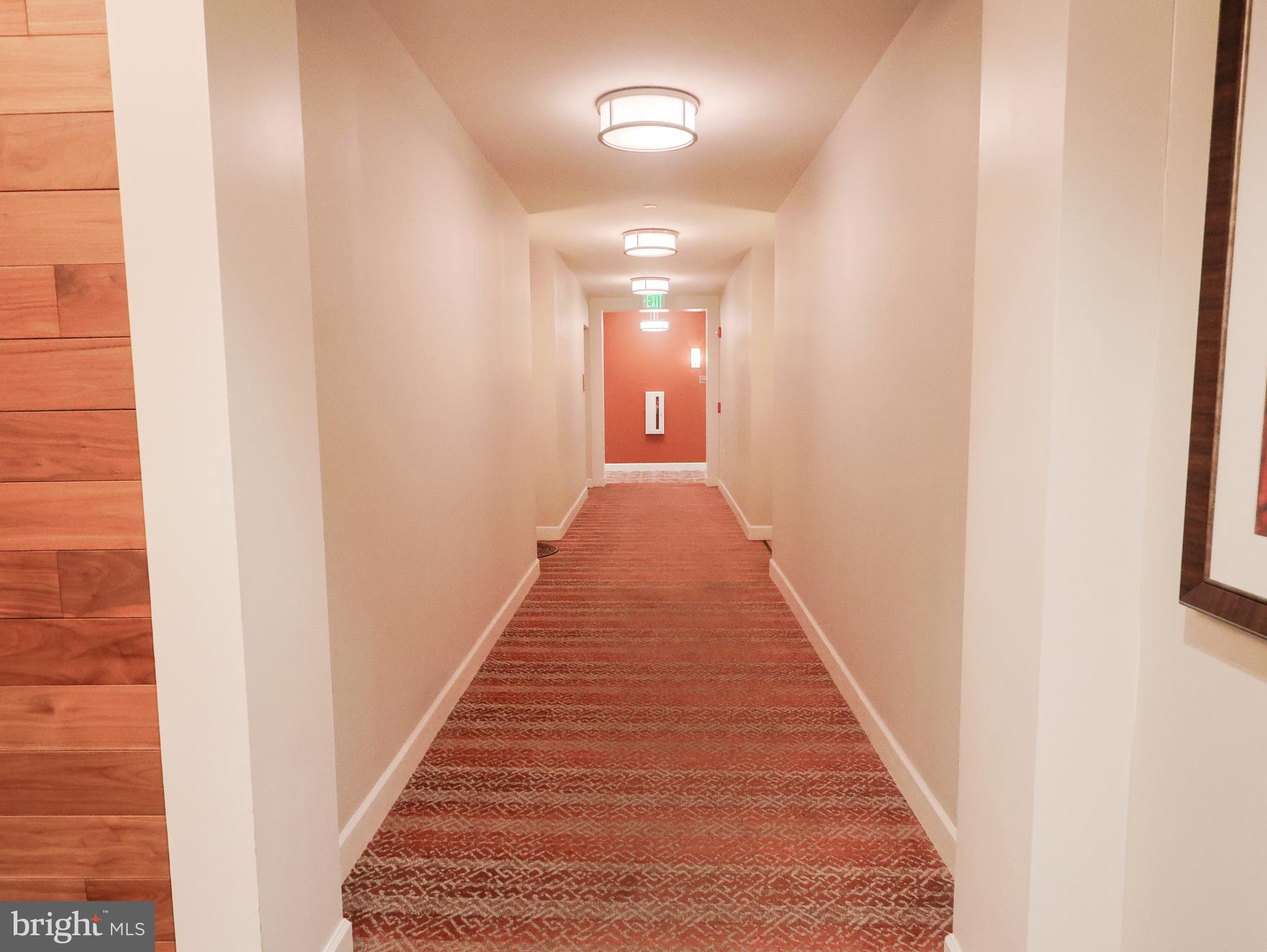 10530 Resort Road, Unit 102 Ellicott City, MD 21042 - Photo 30 of 41 Hallway
